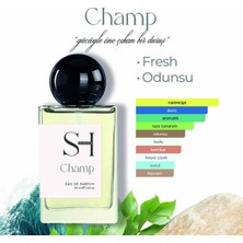Sh Fragrances Champ Edp Erkek Parfüm | Fresh-Odunsu | Deniz Notaları-Greyfurt | Yasemin | Ambergris-Paçuli, 50ML