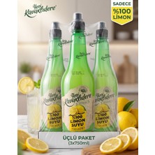 Yeni Kavaklıdere %100 Limon Suyu 750 ml 3 Lü Paket