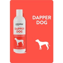 Animology Essentials Dapper Dog Shampoo Köpek Şampuanı 250 ml