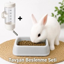 Tavşan Beslenme Seti Suluk ve Mama Kabı
