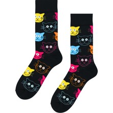 Carnaval Socks Renkli Kediler Desenli Renkli Çorap