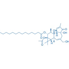KarenBio Bld Pharm Phorbol 12-Myristate 13-Acetate, 95%, BD147805-10MG, Cas NO.：16561-29-8