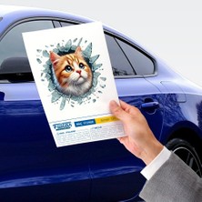 Ozcmax Fulcar Sarman Araç Stickerrı