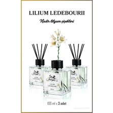 Rosie 3'lü Lilium Ledebourii Çubuklu Oda Kokusu 100 ml