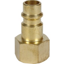Orijinal Einhell Vidalı Tapa Nipeli R 1/4 Inç Dişi Dişli (Kompresör Aksesuarı, Pirinç Malzeme, Çeşitli Basınçlı Hava Uygulamaları Için Uygundur) - 4139640