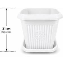 Güzelyüz Avm 1 Adet Kare Saksı Seti | Beyaz Renk Tabaklı Saksı Seti 7 Litre 230X230X210MM No:5