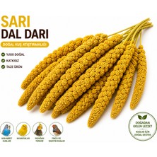Mestore Kuşlar Için Doğal Sarı Dal Darı 100 gr - 60671-2