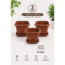 Güzelyüz Avm 3 Adet Kare Saksı | Tabaklı Saksı Seti 2,5 Litre Kahverengi 170X170X150MM No:3