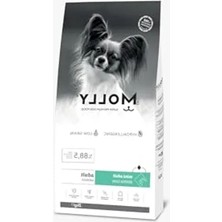 Esplendor 2 kg Somonlu Hipoalerjenik Küçük Irk Yetişkin Köpek Maması