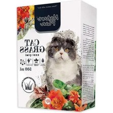 Esplendor 500 ml Kedi Çimi, Doğal ve Sağlıklı