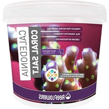Esplendor Caledonia Reef Coral Salt Akvaryum Deniz Tuzu 22,5 kg