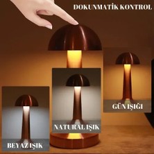 Renas Store Dekoratif LED Masa Lambası 3 Renk Modlu