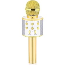 Esplendor Babilden C-8501 Karaoke Mikrofon Bluetooth USB & Tf & Aux (Gold)