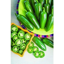 Esplendor Jalapeno Aci Biber Tohumu, 100 Adet ile Bahçe Için Baharatlı Seçenek