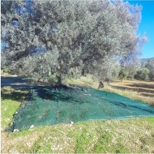 Esplendor Yeşil Zeytin Toplama Filesi, 3x3 Metre Boyutunda
