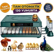 130 Yumurta Kapasiteli Tam Otomatik Kuluçka Makinesi