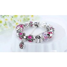 Takantakana Pandora Tarz Gümüş Charm Bileklik Yeni Collectios Charm Bileklik Mor Charmlı