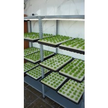 Hidroponik Farm Bitki Yetiştirme Süngeri