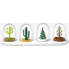 Renas Store Seasoning Shakers Dört Mevsim Baharatlık