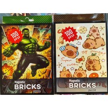 Ada Çanta Kırtasiye 2 Adet Manyetik Puzzle Yap Boz Küçük Boy 100 Parça (15CMX10CM) GF40019