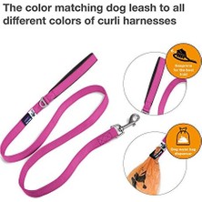 AyrStore Basic Leash Fuchsia L
