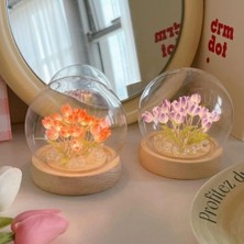 Renas Store LED Işıklı Kendin Yap Lale Cam Küre
