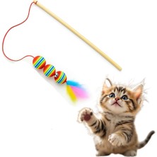 Sünger 3 Toplu Kedi Oltası