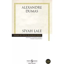 Renas Store Siyah - Hasan Ali Yücel Klasikleri