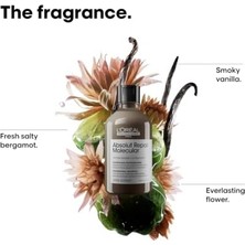 AyrStore L'oréal Professionnel Paris Serie Expert Absolut Repair Molecular Tüm Yıpranmış Saçlar Için Arındırıcı Şampuan 300ML
