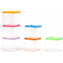 Mini Betta Kabı 8X8X7 cm Plastik Akvaryum