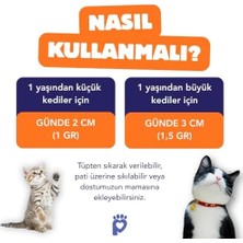 Bağışıklık Destekleyici, Tüy Yumağı ve Kusma Önleyici Multivitamin Kedi Malt Macunu 100G
