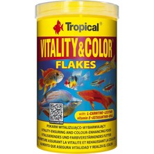 Vitality Renk Destekleyici Pul Astar, Tekli Paket (1 x 1 L)