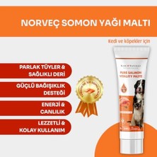 Kahu Naturals Somon Yağlı Malt, Omega-3 (Epa & Dha) Içerikli, Kedi ve Köpek Için, 100 G