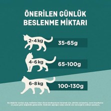 Purina One Sığır Etli Kuru Kedi Maması, Yetişkin, 800 G