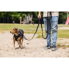 Köpek Göğüs Tasması, Neopren, Siyah, M, 41-46CM