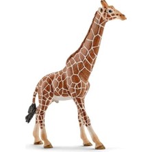 Schleich- Life-Erkek