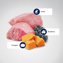 Tech Butiq Farmina Pet Foods N&d Pumpkin Kuru Köpek Maması, Tahılsız, Kuzu ve Yabanmersinli, Yavru Köpek Mini, 7 kg