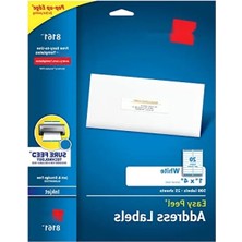 Die Grup Kalıcı Yapıştırıcı Etiketler - 2,54 cm x 10,16 Cm, 500 Adet
