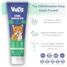 Tech Butiq Tüy Dökülme Engelleyici, Tüy Yumağı ve Kusma Önleyici Multivitamin Kedi Malt Macunu 100G
