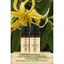 Bade Natural Ylang Ylang Uçucu Yağı 1 Paket (1 x 10 Ml)