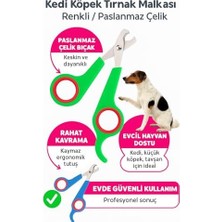 Tech Butiq Kedi Köpek Tırnak Makası, Renkli Paslanmaz Çelik Tırnak Kesici, Evcil Hayvanlar Için Güvenli ve Ergonomik Tırnak Makası, Kedi, Küçük Köpek ve Tavşanlar Için Uygun Asorti Çok Renkli