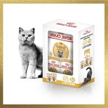 Die Grup 2 kg Yetişkin British Shorthair Kedi Maması ve Yaş Maması Seti