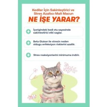 Tech Butiq Biofeline Rahatlatıcı Macun 100G ve Kediler Için Günlük Strese Karşı Rahatlık Sağlayan Sakinleştirici Macun