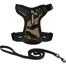 Die Grup Voyager Step-In Lock Pet Koşum Takımı - Tüm Hava Koşullarına Uygun File, En Iyi Evcil Hayvan Malzemeleri Tarafından Kediler ve Köpekler Için Koşumda Ayarlanabilir Adım - Askeri/siyah Süsleme, Xxs