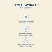 Tech Butiq Kuru Yetişkin Kedi Maması - Besleyici Vitamin Ilaveli Tam ve Dengeli Mama (1,2 Kg, Somon) (3 Paketi)