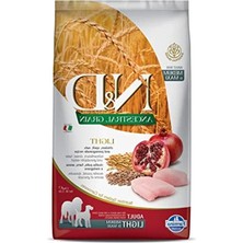 Die Grup Kuru Köpek Maması, Light Tavuklu, Yetişkin Medium ve Maxi, 2.5 kg