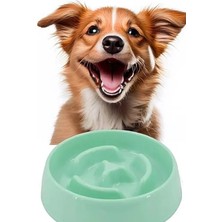 Die Grup Yavaş Besleyici Kedi Köpek Mama Kabı, 375 ml
