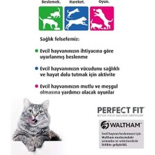Tech Butiq Perfect Fit Yetişkin Tavuklu Kuru Mama 1.4 kg