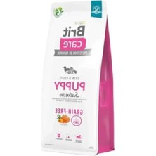 Die Grup Tahılsız Somon Balıklı Kuru Mama, Yavru Köpekler Için, 12 kg