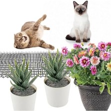 Die Grup Plastik Kedi Kovucu Mat, 10 Adet, 250 cm